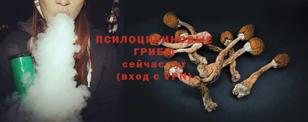 СК Алзамай