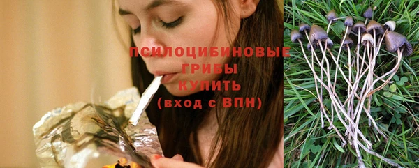 ПСИЛОЦИБИНОВЫЕ ГРИБЫ Алексеевка