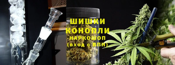 эйфоретик Бикин